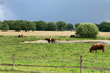 005 Rustig gelegen blokhut voor 2 personen nabij het bos tussen IJhorst en Staphorst