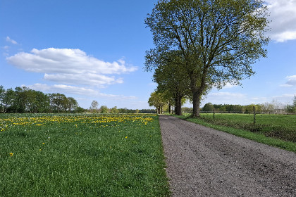 003 Gezellige tweepersoons bungalow op het platteland bij Nationaal Park de Weerribben