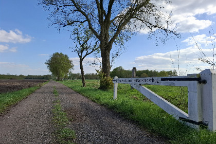 008 Gezellige tweepersoons bungalow op het platteland bij Nationaal Park de Weerribben