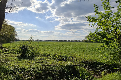 019 Gezellige tweepersoons bungalow op het platteland bij Nationaal Park de Weerribben