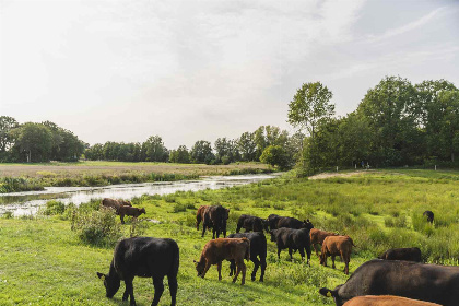 008 Prachtig 5 persoons hooiberg in Wierden