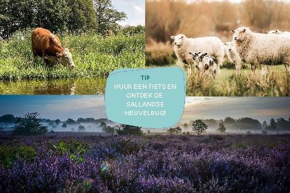 012 8 persoons kinderbungalow | Thema: Boerderij aangepast