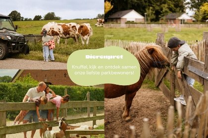 026 Aangepaste kinderbungalow 'Boerderij' met warme bubbeltub | 8 pers