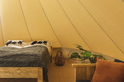 007 Blij in de wei tent met prive sanitair | 2 4 personen