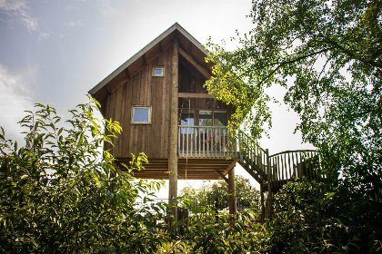 001 Boomhut I 5 pers