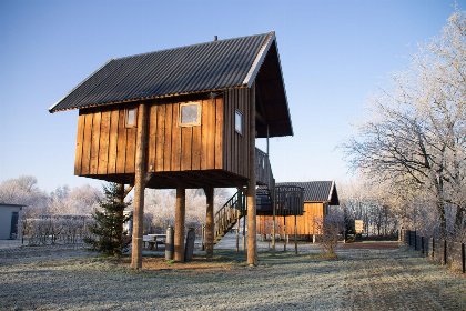 018 Boomhut I 5 pers