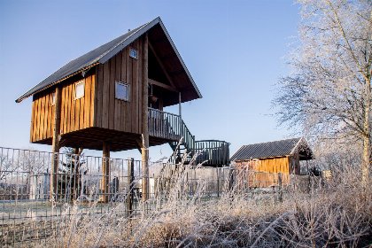 024 Boomhut I 5 pers