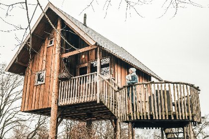 029 Boomhut I 5 pers