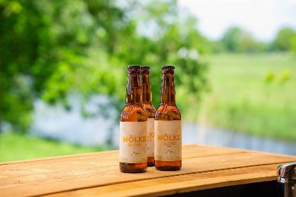 020 Boomhuttent aan de Regge met prive sanitair | 6 pers 020 Boomhuttent aan de Regge met prive sanitair | 6 pers