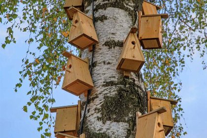 003 Boutique suite I 2 pers 003 Boutique suite I 2 pers