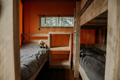 004 Groepsaccommodatie (6x luxe glampingtent) I 32 pers 004 Groepsaccommodatie (6x luxe glampingtent) I 32 pers