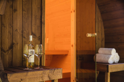 016 Kinderbungalow boerderij met sauna 