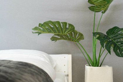 010 Panorama Lodge met prive sanitair | 5 pers