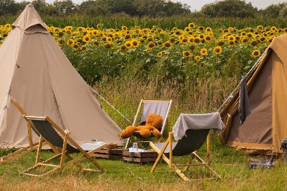 001 Pop up glamping: Buurvrouws' Belltentje | 2 4 pers