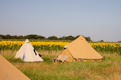 003 Pop up glamping: Buurvrouws' Belltentje | 2 4 personen