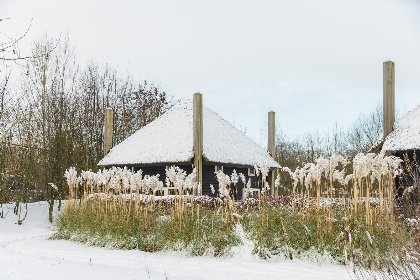 019 Reggehooiberg met sauna en hottub | 5 pers 019 Reggehooiberg met sauna en hottub | 5 pers