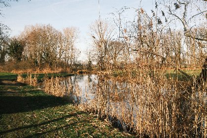 004 River Mirrorlodge met bubbeltub en panoramaview | 2 pers