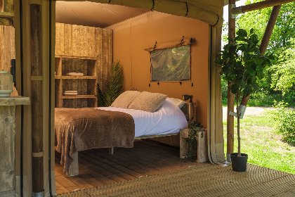 015 Safarisuite met prive sanitair | 5 pers 015 Safarisuite met prive sanitair | 5 pers