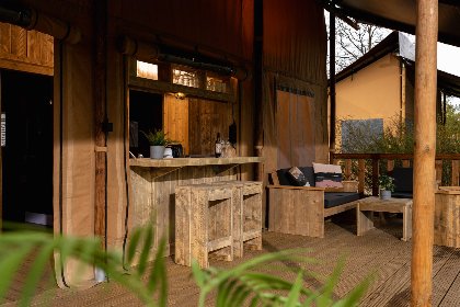 003 Safaritent 'de bartenter' met prive sanitair | 5 pers 003 Safaritent 'de bartenter' met prive sanitair | 5 pers