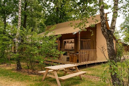 016 Safaritent 'de bartenter' met prive sanitair | 5 pers 016 Safaritent 'de bartenter' met prive sanitair | 5 pers