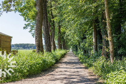 019 Vrijstaand 12 persoons appartement met landelijk uitzicht nabij de Utrechtse Heuvelrug