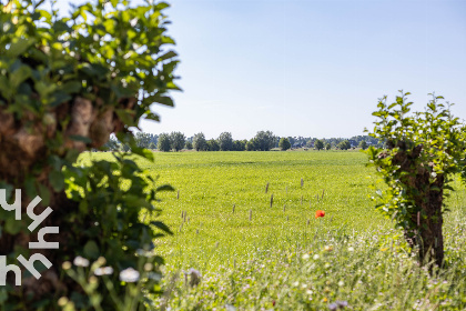 044 Vrijstaand 12 persoons appartement met landelijk uitzicht nabij de Utrechtse Heuvelrug