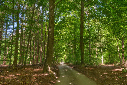 009 Zeer rustig en natuurrijk gelegen 5 persoons Engelse cottage in Leersum, Utrecht