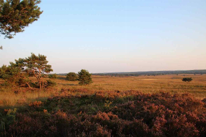 039 Familie Lodge voor 6 personen met Hottub