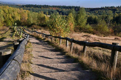 030 Prachtige achtpersoons villa midden in de bossen