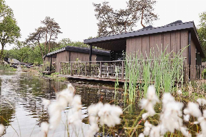 Stijlvolle zespersoons Eco Lodge op de Utrechtse Heuvelrug