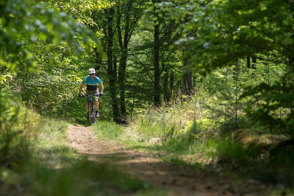 022 Oak Valley 15