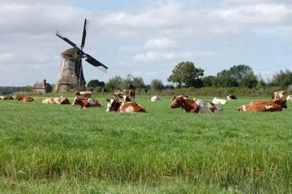 006 Boerderijappartement voor 11 pers. a/d Vecht