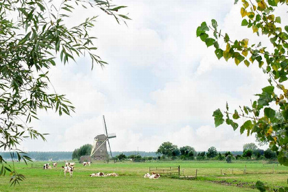 013 Boerderijappartement voor 4 pers. a/d Vecht