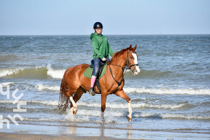 002 Paardenliefhebbers: 4 persoons woning op manege vlakbij strand op ponyhof Aagtekerke