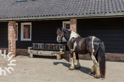 009 Paardenliefhebbers: 4 persoons woning op manege vlakbij strand op ponyhof Aagtekerke