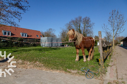 027 Paardenliefhebbers: 4 persoons woning op manege vlakbij strand op ponyhof Aagtekerke