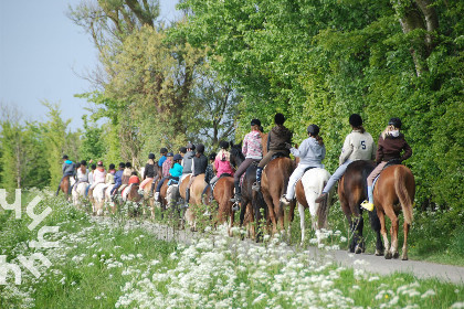 029 Paardenliefhebbers: 4 persoons woning op manege vlakbij strand op ponyhof Aagtekerke