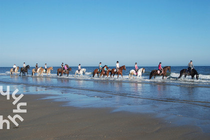030 Paardenliefhebbers: 4 persoons woning op manege vlakbij strand op ponyhof Aagtekerke