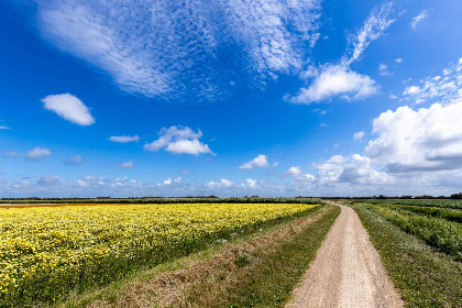 010 Sfeervolle 8 persoons vakantieboerderij dichtbij de zee en met ruime tuin vlakbij Domburg