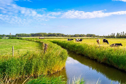 038 Sfeervolle 8 persoons vakantieboerderij dichtbij de zee en met ruime tuin vlakbij Domburg