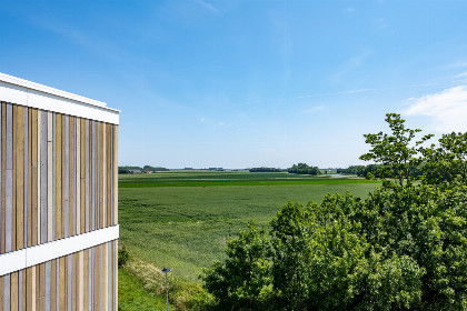 011 Lamsoor 91 | Veerse Wende