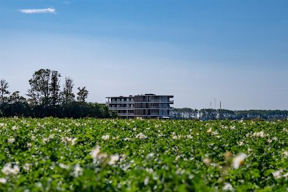 009 Lamsoor 95 | Veerse Wende