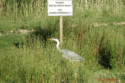 026 VZ885 Vakantiehuis in Biervliet