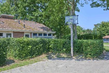 040 Zomerzoet