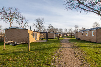 025 Chalet   Camping de Duinhoeve 'Bosdier'   Maireweg 7 | Burgh Haamstede