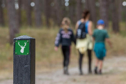 019 Sfeervol 6 persoons vrijstaand vakantiehuis in Zeeland