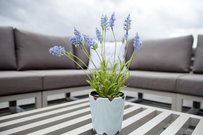 022 Aqua Vista 1