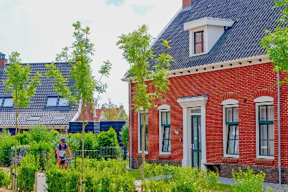 Nederland, Zeeland, Colijnsplaat