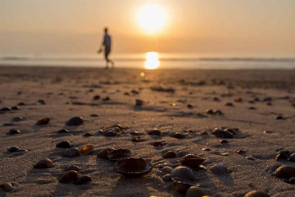 011 Knus 2 persoons vakantiehuis 300 meter van het strand in Domburg