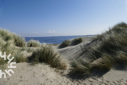 025 Knus 4 persoons vakantiehuis midden in Domburg, vlak bij het strand